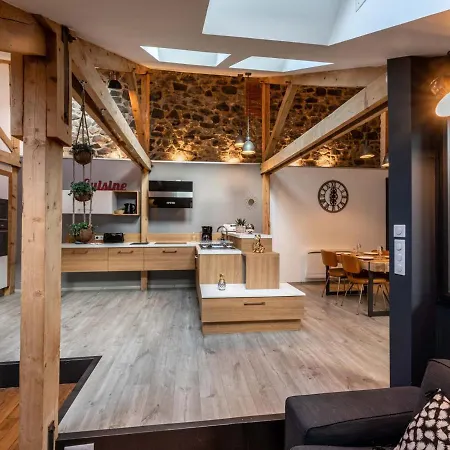 Lejlighed Loft Industriel A Aurillac, Proche Centre-ville, 2 Chambres, Garage, Wifi, Equipements Premium - Fr-1-742-490