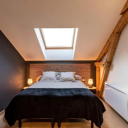Loft Industriel A Aurillac, Proche Centre-ville, 2 Chambres, Garage, Wifi, Equipements Premium - Fr-1-742-490 * Aurillac
