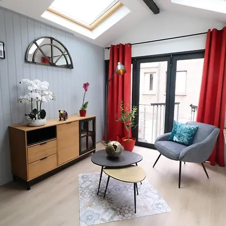 Loft Industriel A Aurillac, Proche Centre-ville, 2 Chambres, Garage, Wifi, Equipements Premium - Fr-1-742-490 *
