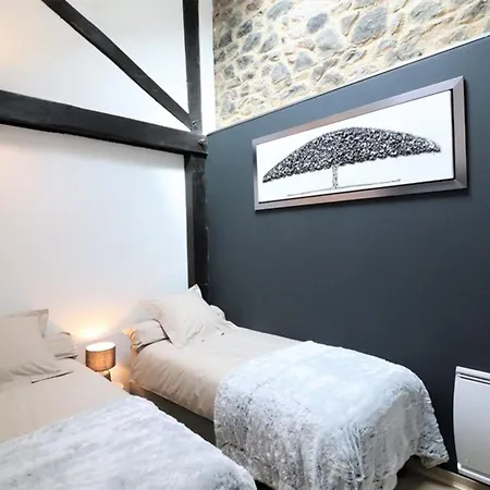 Loft Industriel A Aurillac, Proche Centre-ville, 2 Chambres, Garage, Wifi, Equipements Premium - Fr-1-742-490 Lejlighed Aurillac