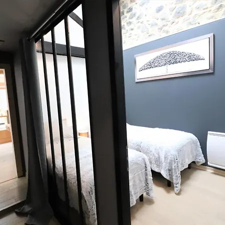 Loft Industriel A Aurillac, Proche Centre-ville, 2 Chambres, Garage, Wifi, Equipements Premium - Fr-1-742-490 Lejlighed Aurillac