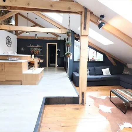 Loft Industriel A Aurillac, Proche Centre-ville, 2 Chambres, Garage, Wifi, Equipements Premium - Fr-1-742-490 Lejlighed *